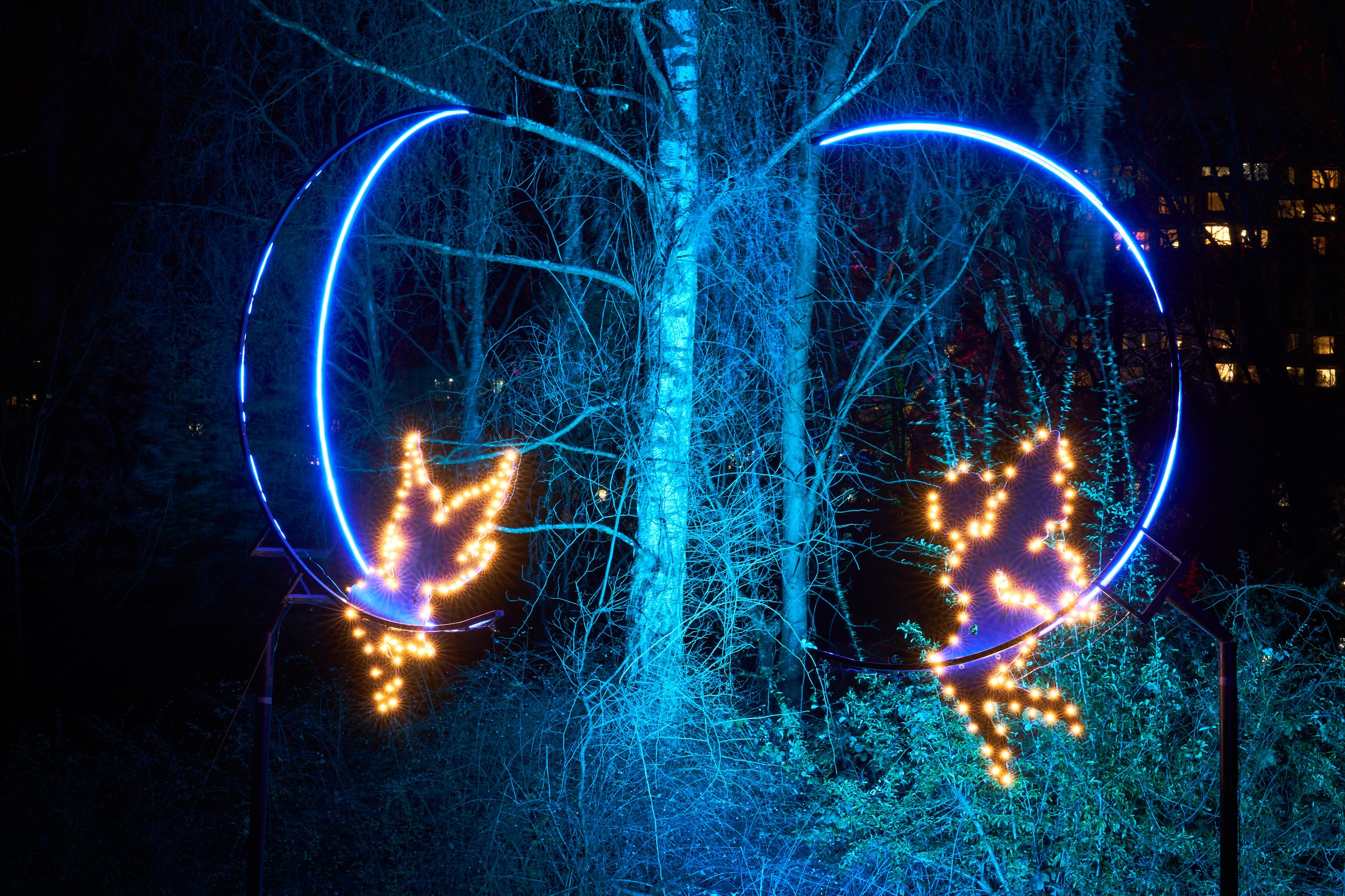 2023 01 23 Parkleuchten 0022